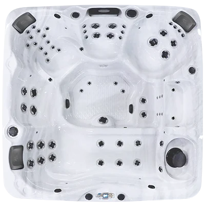 Avalon EC-867L hot tubs for sale in New Port Beach